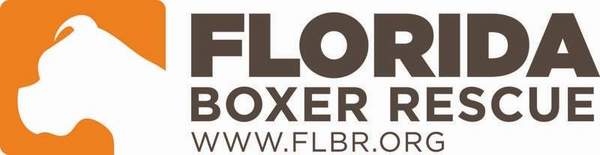FBR Logo